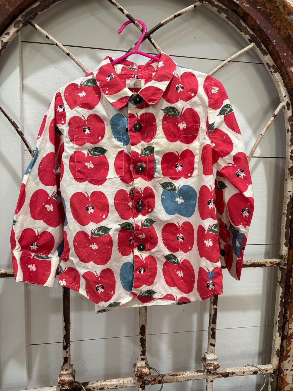 Kids Apple-Print Blue Rooster New York Button-Up Shirt Sz 3Y- Red & Blue
